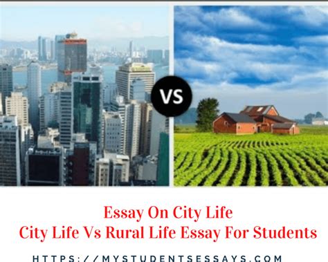 city life essay